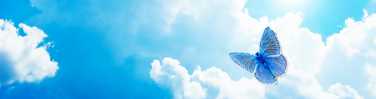 Butterfly against clouds in blue sky