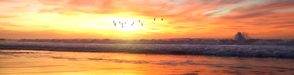 Birds fly over ocean waves at dawn